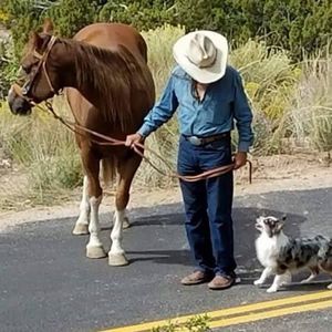 Meet your Posher, Paul